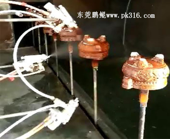 福建香爐噴烤一體機